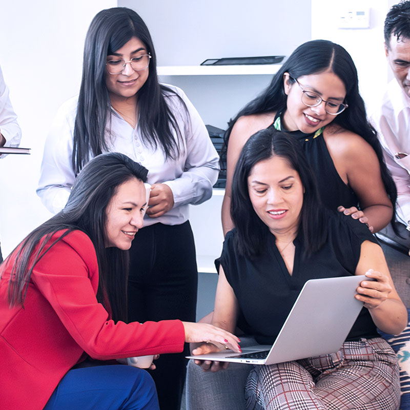 Equipo de Bridgers mirando una laptop
